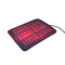 Medisch van de het Rode lichttherapie van PDT Infrarood Stootkussen 4 Photodynamic Geleid Kleuren Multifunctie
